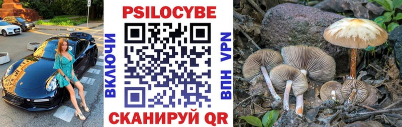 Псилоцибиновые грибы Cubensis  mega   Каменск-Шахтинский 